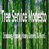 Tree Service Modesto
